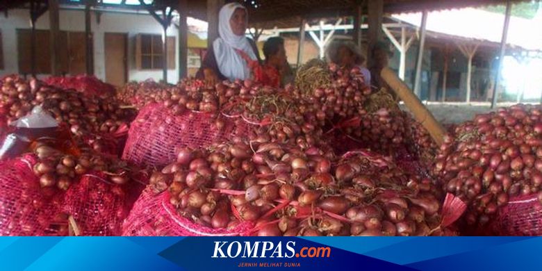 Manis Pahit Bertani Bawang Merah Lokal Halaman All Kompas Com