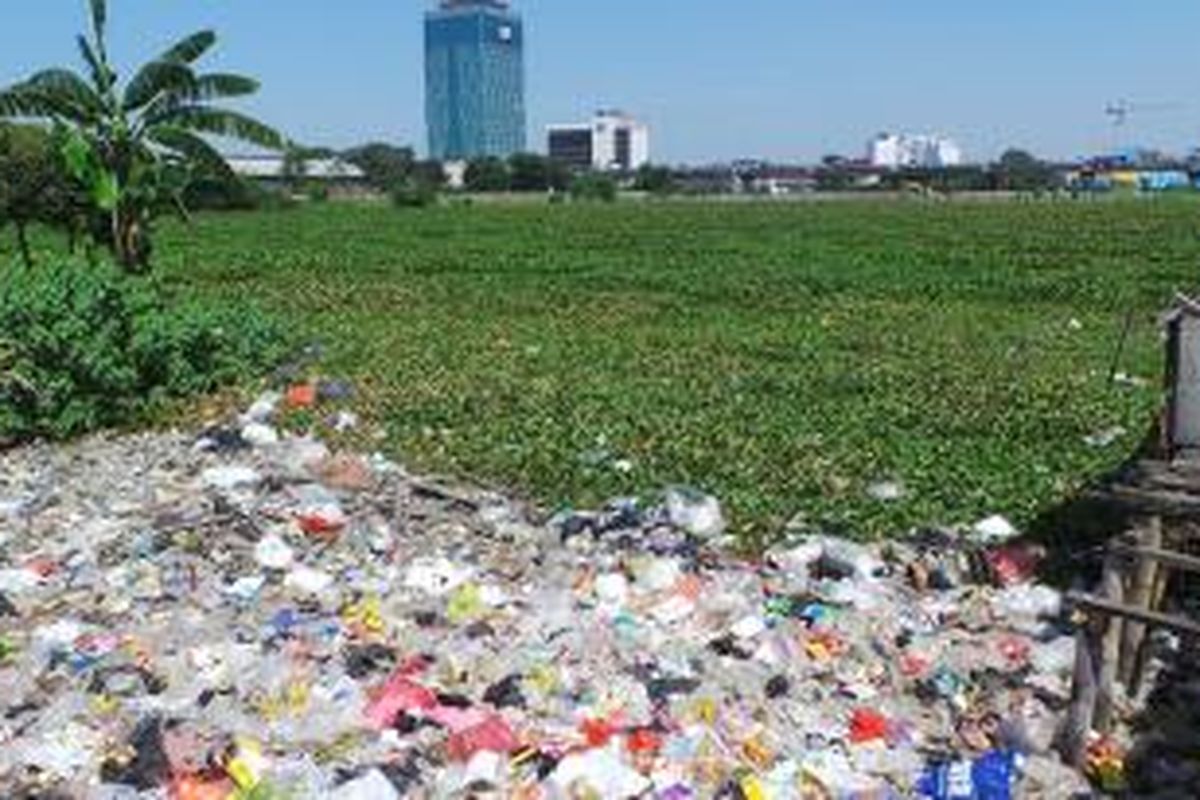 Eceng gondok tampak menutupi Waduk Ria Rio di Kelurahan Kayu Putih, Kecamatan Pulo Gadung, Jakarta Timur, Senin (19/8/2013), yang akan dinormalisasi seperti Waduk Pluit, Jakarta Utara.