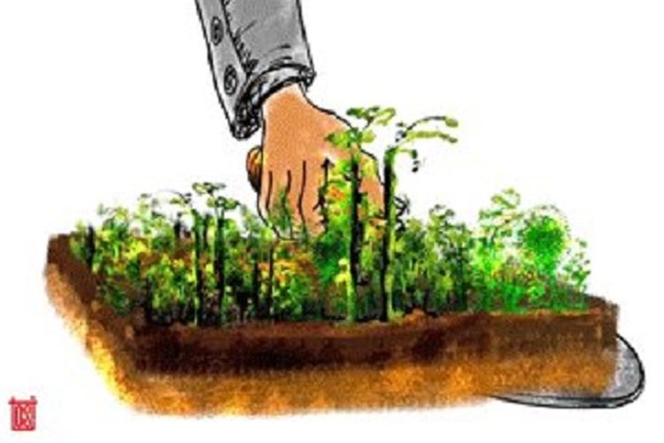 Ilustrasi reforma agraria