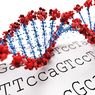 Mengenal Manfaat Pengurutan Genom Manusia Bagi Kesehatan