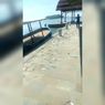 Pemkab Kepulauan Seribu Benarkan Ratusan Ikan Terdampar di Pulau Onrust