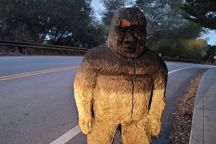 Foto yang disediakan oleh Departemen Kepolisian Scotts Valley ini adalah patung monster Bigfoot yang ditemukan petugas di sebuah jalan raya di pegunungan utara Santa Cruz di Lembah Scotts, California, Kamis, 12 November 2020 setelah sebelumnya dikabarkan menghilang.
