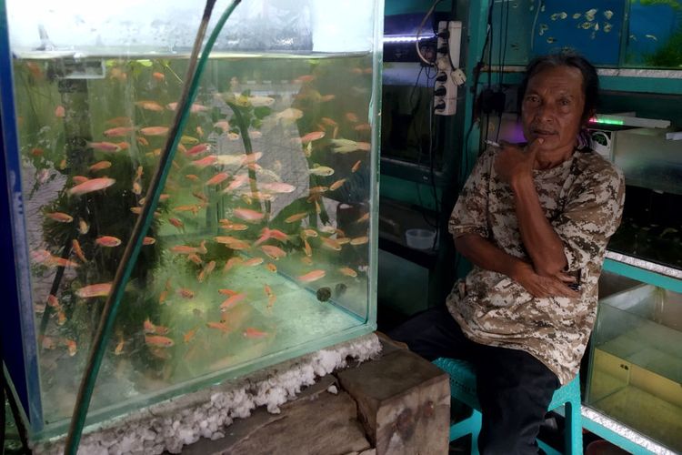 Geram Pedagang Ikan Hias di Blitar Gara-gara Listrik PLN Padam Tanpa Pemberitahuan