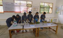 Sekolah di NTT Raih Penghargaan Asia Pasifik Berkat Inovasi Olah Limbah Kulit Pisang