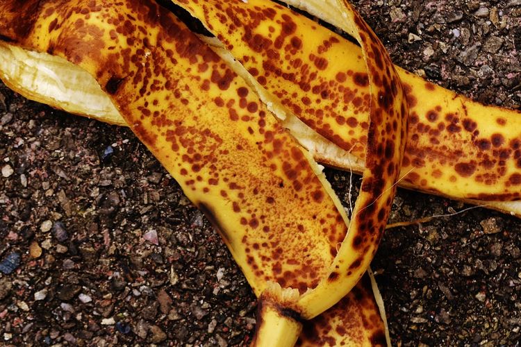 Ilustrasi kulit pisang. 