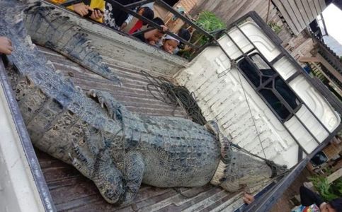 Crocodile Snatches Woman Doing Laundry in River in Eastern Indonesia