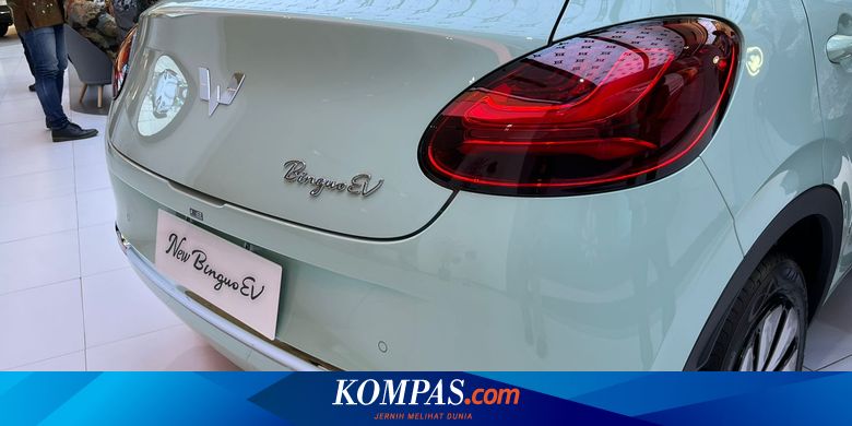YLKI Buka Suara Soal Petisi Pemilik Wuling Binguo EV