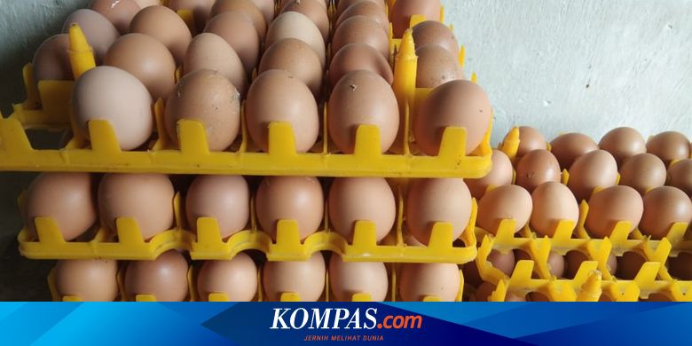 Telur Ayam Infertil Dilarang Dijual Di Pasar Tak Layak Konsumsi