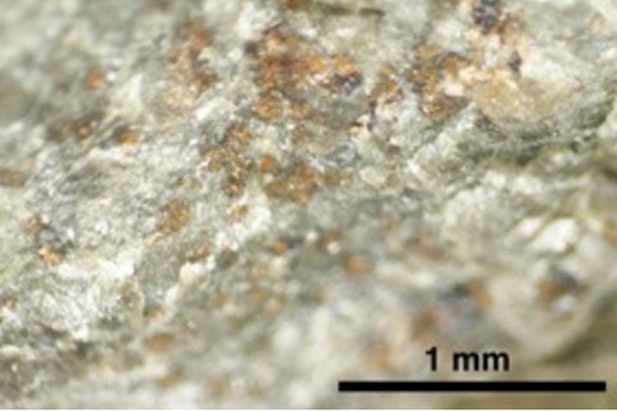 Meteorit tersebut diperkirakan meluncur dari Mars sekitar 16 juta tahun lalu. Meteorit bernama ALH84001 tersebut ditemukan di Allan Hills, Antartika, pada 1984.