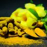 Kunyit untuk Obat Asam Urat, Benarkah Efektif?
