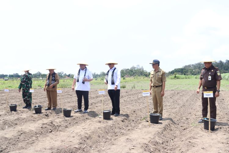 Wakil Menteri Pertanian (Wamentan) Harvick Hasnul Qolbi dan Direktur Jenderal Perkebunan (Dirjenbun) Andi Nur Alam Syah pada kegiatan tanam tebu di Blitar, Jawa Timur (Jatim), Selasa (21/11/2023).

