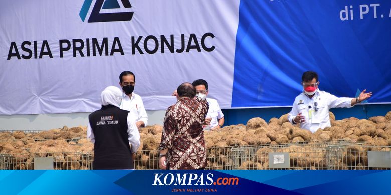 Diminta Presiden Jokowi Serius Kembangkan Porang, Mentan: Budidaya Sudah 50.000 Hektare - Vimarsana News