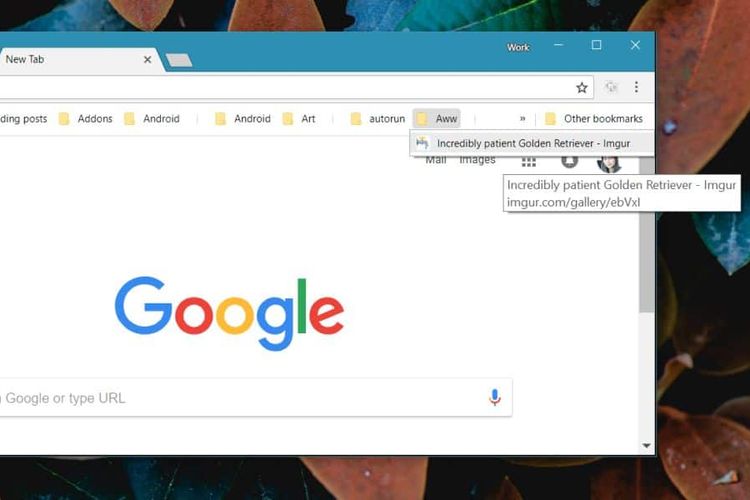 Cara Menjalankan Skrip Konten di Chrome