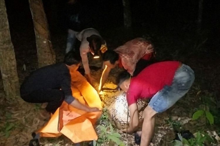 Diduga Curi Getah Karet, Pria di Mesuji Lampung Tewas Dikeroyok 40 Warga