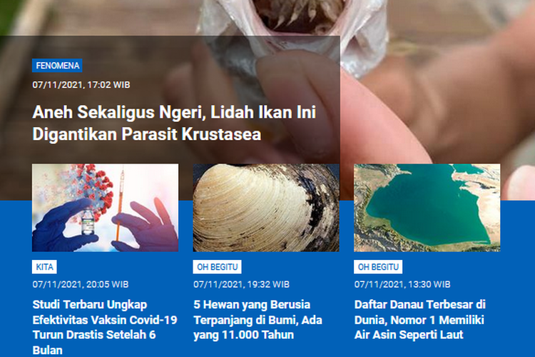 Populer Sains Parasit Krustasea Gantikan Lidah Ikan Efektivitas Vaksin Covid 19 Turun Drastis Usai 6 Bulan Halaman All Kompas Com