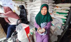 Harga Gabah dan Beras di Sejumlah Provinsi Turun, BPS: Panen Raya Sudah Merata
