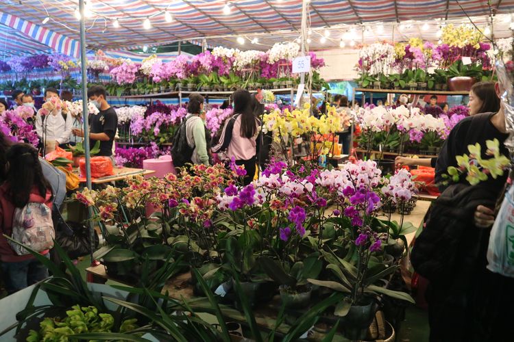 Pasar bunga menjelang Imlek di Victoria Park, Hong Kong, Jumat (24/1/2020).