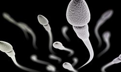 Suhu Bumi Memanas Bikin Jumlah Sperma Turun dan Pengaruhi Kesuburan