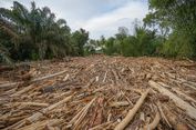 Pemerintah Evaluasi Izin Usaha di Lokasi Banjir Sumatera, Pemulihan Jadi Sorotan