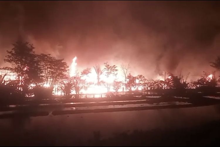 Peternakan Ayam di Bogor Terbakar, 60.000 Ekor Ayam Mati, Kerugian Capai Rp 6,5 Miliar