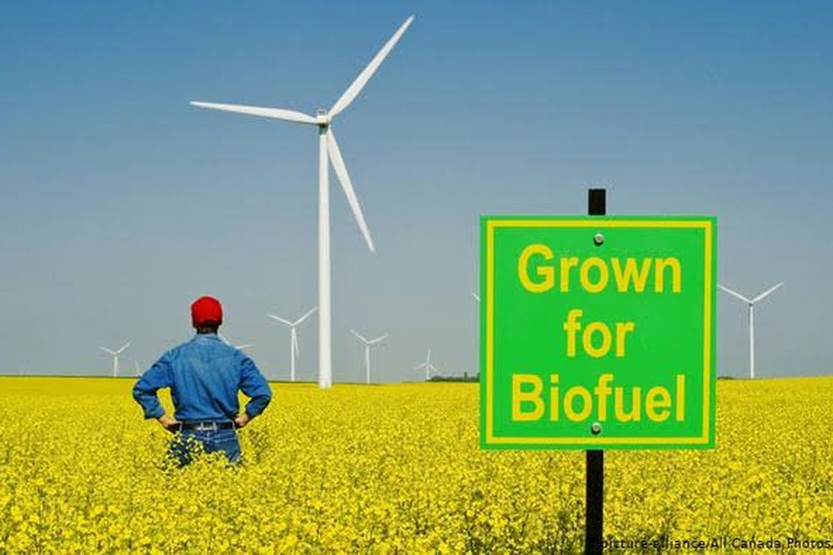 Biofuel