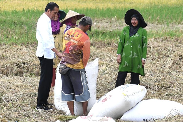 Presiden Joko Widodo menemui sejumlah petani yang sedang panen di sela-sela kunjungan kerjanya di Bandung, Senin (6/3/2023).