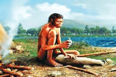 Berita Harian Masa Berburu Dan Mengumpulkan Makanan Terbaru Hari Ini Kompas Com