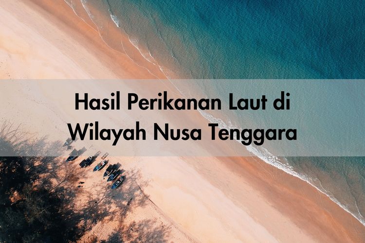 Hasil perikanan yang ada di Nusa Tenggara, salah satunya adalah ikan kakap merah. Contoh hasil perikanan lainnya, yakni ikan kembung dan tongkol.