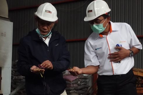 Genjot Penyerapan Gabah Petani, Kementan Kerja Sama dengan PT Pertani 