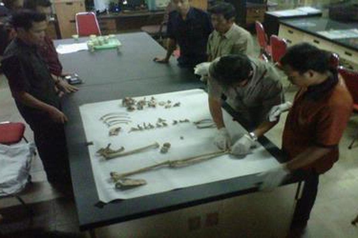 Petugas BKSDA Kalimantan Timur mendatangi Pusat Penelitian Hutan Tropis Universitas Mulawarman, Samarinda, Kalimantan Timur, Rabu (2/11/2011), untuk melihat temuan tulang orangutan. Tulang orangutan ini rencananya akan dibawa BKSDA Kaltim.   