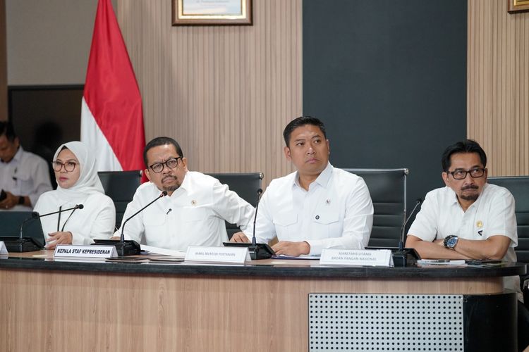 Wamentan Pastikan Stok Daging Aman Jelang Idul Fitri, Beras Masih 4,06 Juta Ton