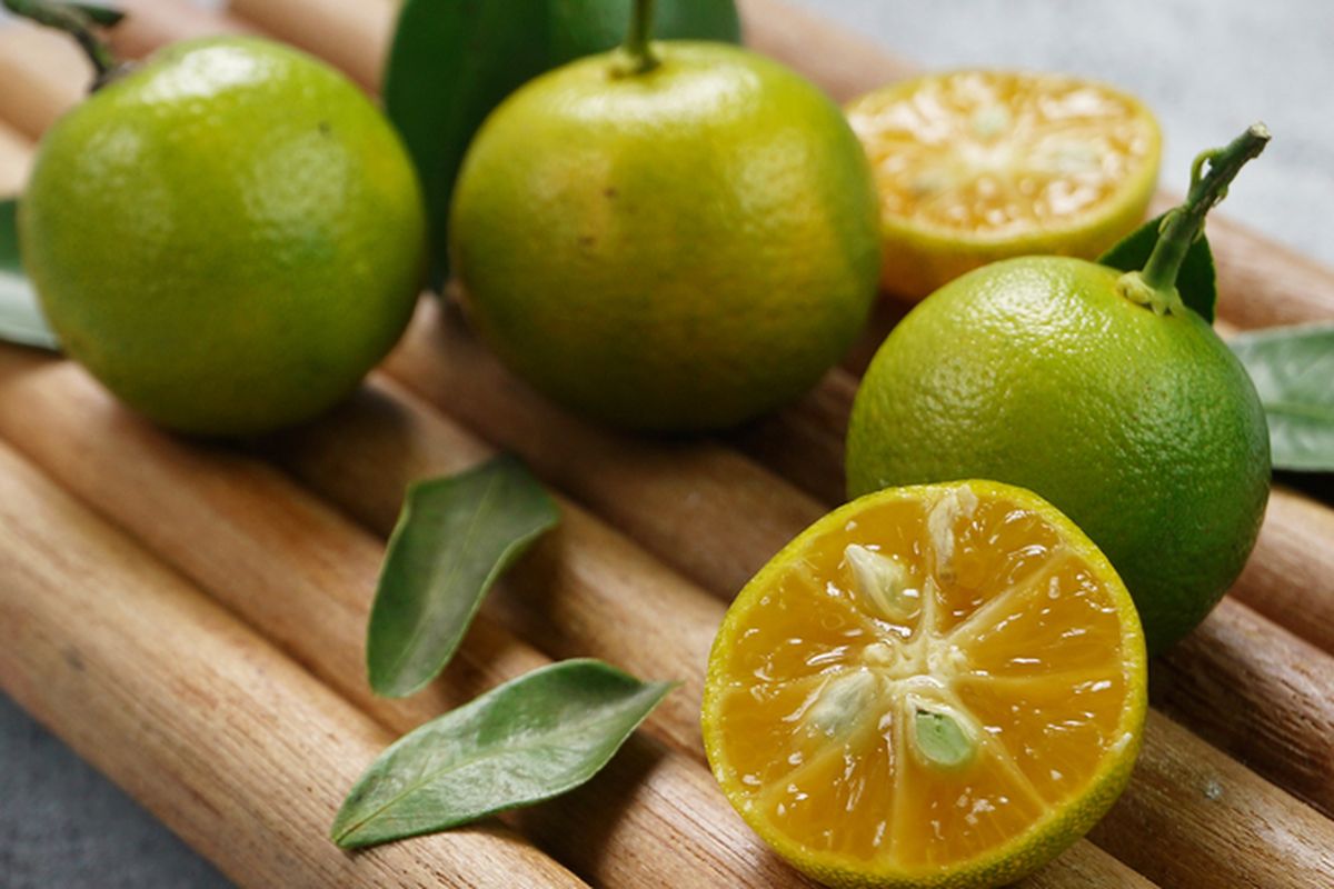 Ilustrasi jeruk lemon cui atau jeruk kasturi, jeruk kunci.