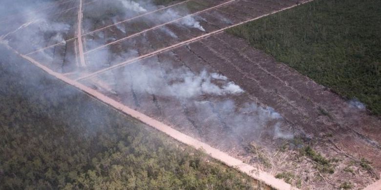 Foto ini diambil dari pesawat oleh Greenpeace pada Mei 2013 yang menunjukkan tumpukan kayu yang terbakar.