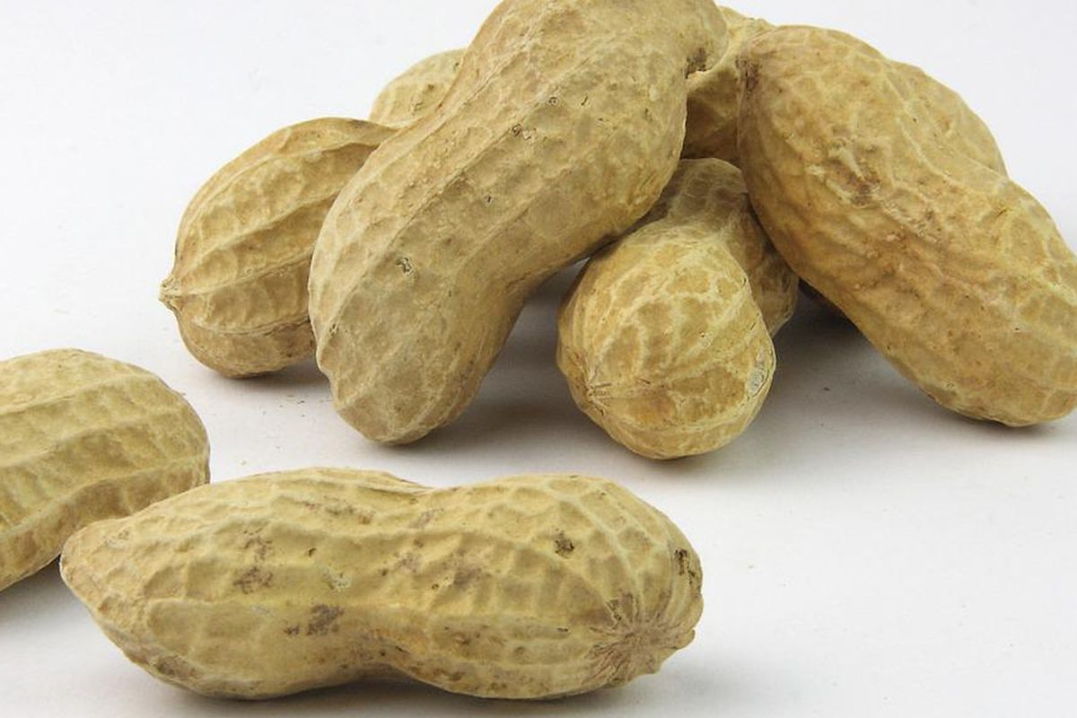 Kacang tanah