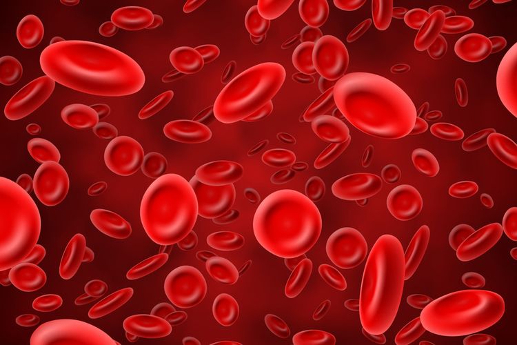Hemoglobin (Hb) adalah molekul protein yang mengandung zat besi dalam sel darah merah.