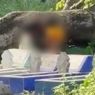 Viral, Video 2 Bocah di Makassar Berbuat Asusila di Area Perkuburan