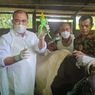 Vaksin PMK Tiba, Vaksinasi Nasional Dimulai di Jawa Timur