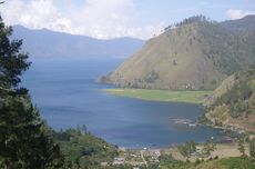 Bobol Toko Miras, Seekor Rakun Mabuk dan Pingsan di Toilet