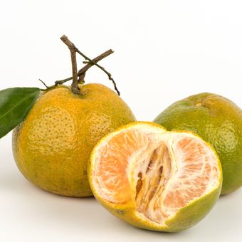 Ilustrasi buah jeruk keprok.