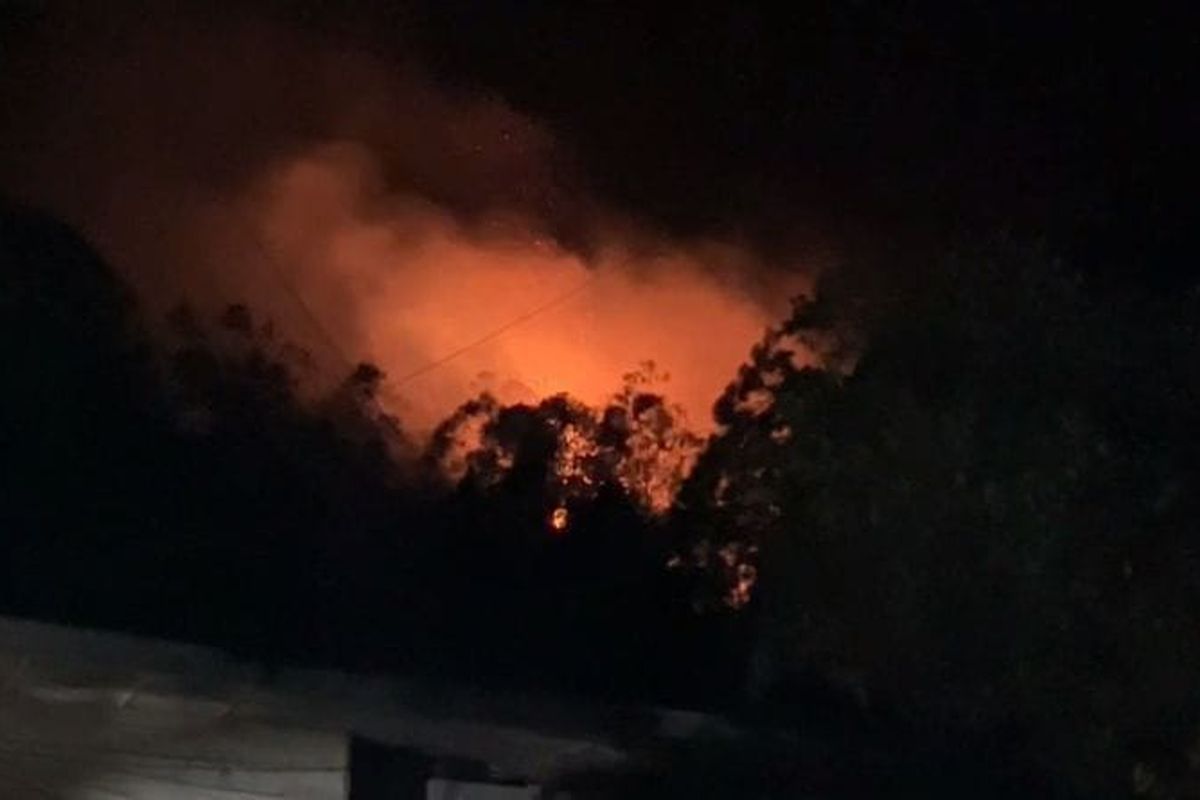 Hutan Pinus di Mamasa Terbakar 9 Jam, Api Belum Padam dan Dekati Rumah