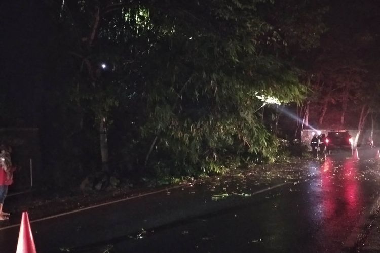 Kejadian rumpun bambu tumbang di kawasan Payung, Jalan Trunojoyo, Kelurahan Songgokerto, Kota Batu pada Rabu (9/2/2022) mengakibatkan akses lalu lintas sempat terganggu.