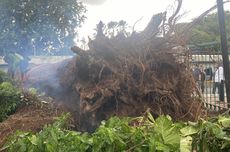 10 Universitas Negeri Terbaik di Indonesia Versi THE Interdisciplinary Science Rankings 2026, IPB Nomor 1