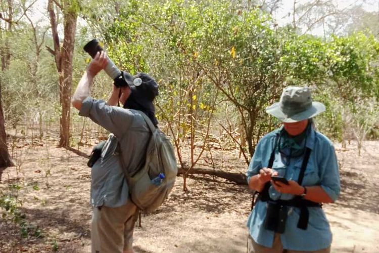 Wisatawan minat khusus mulai berdatangan ke Pulau Flores, NTT untuk mengamati burung-burung endemik Flores mulai dari Labuan Bajo sampai seluruh Pulau Flores, Sabtu, (1/10/2022). (DOK PEMANDU WISATA BURUNG FLORES-SAMUEL RABENAK)