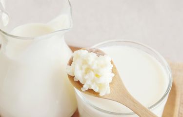 Ilustrasi kefir