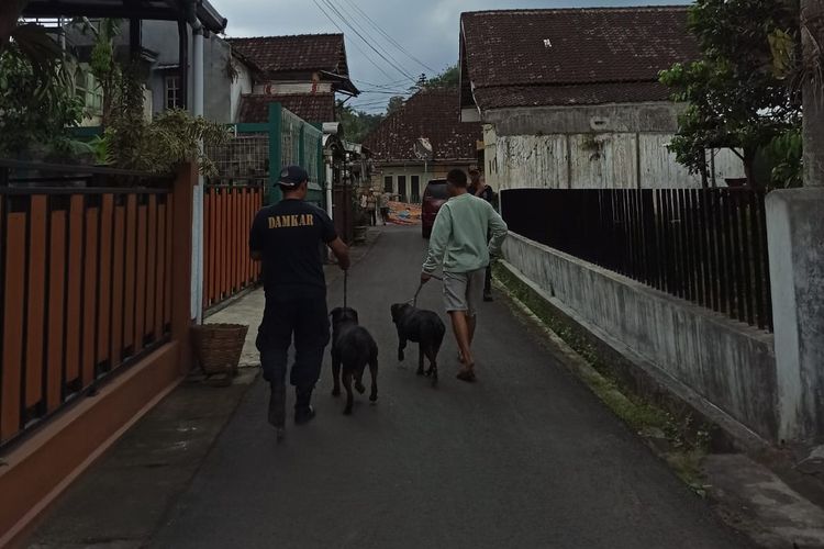 Warga dan petugas Damkar membawa anjing rottweiler yang lepas ke kandang