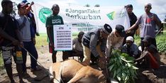 Program THK Dompet Dhaufa Mampu Ubah Budaya Orang Berkurban, Begini Ceritanya