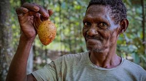 Pala Papua, Si "Anak Tiri" Rempah Indonesia