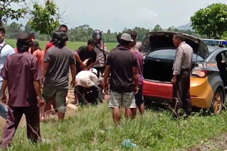 Pria yang mengamuk di Desa Tarengge Timur, Kecamatan Wotu, berhasil dilumpuhkan pihak kepolisian setelah melakukan perlawanan, Rabu (07/10/2020)