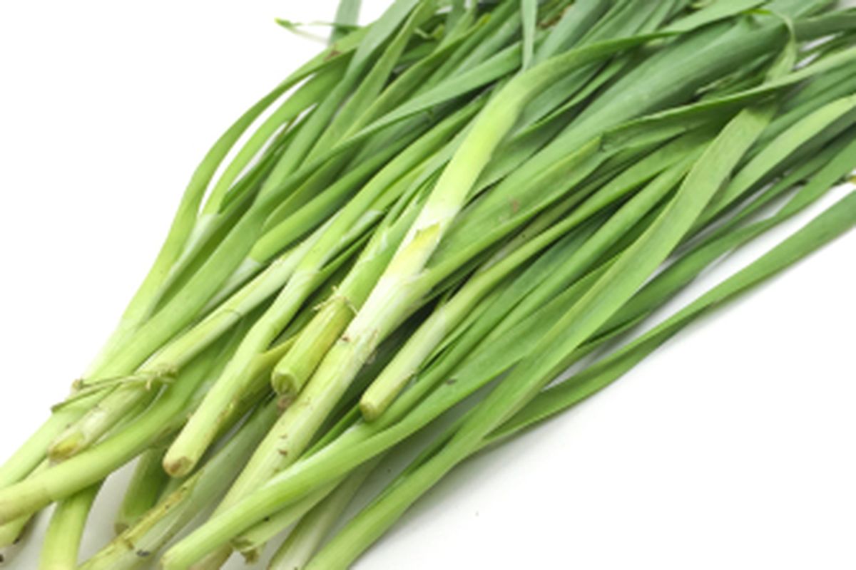 Daun kucai