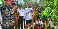 Jokowi dan Mentan Pacu Produksi Kopi dan Peningkatan Kesejahteraan Petani di Lampung Barat
